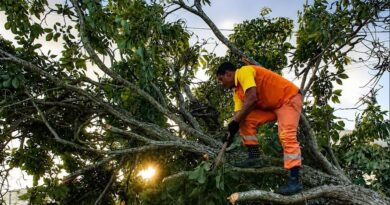 Clin recolhe 12 toneladas de resíduos após ventania em Niterói